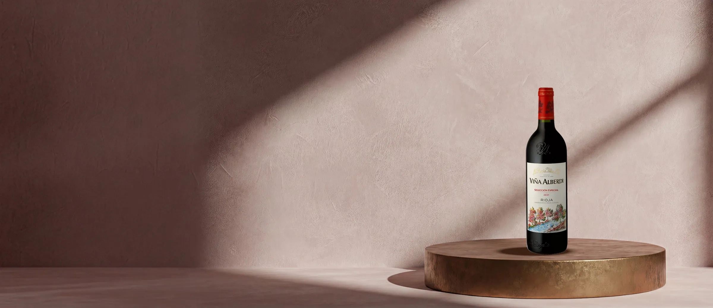 Bouteille de vin Viña Alberdi Selección Especial 2021
