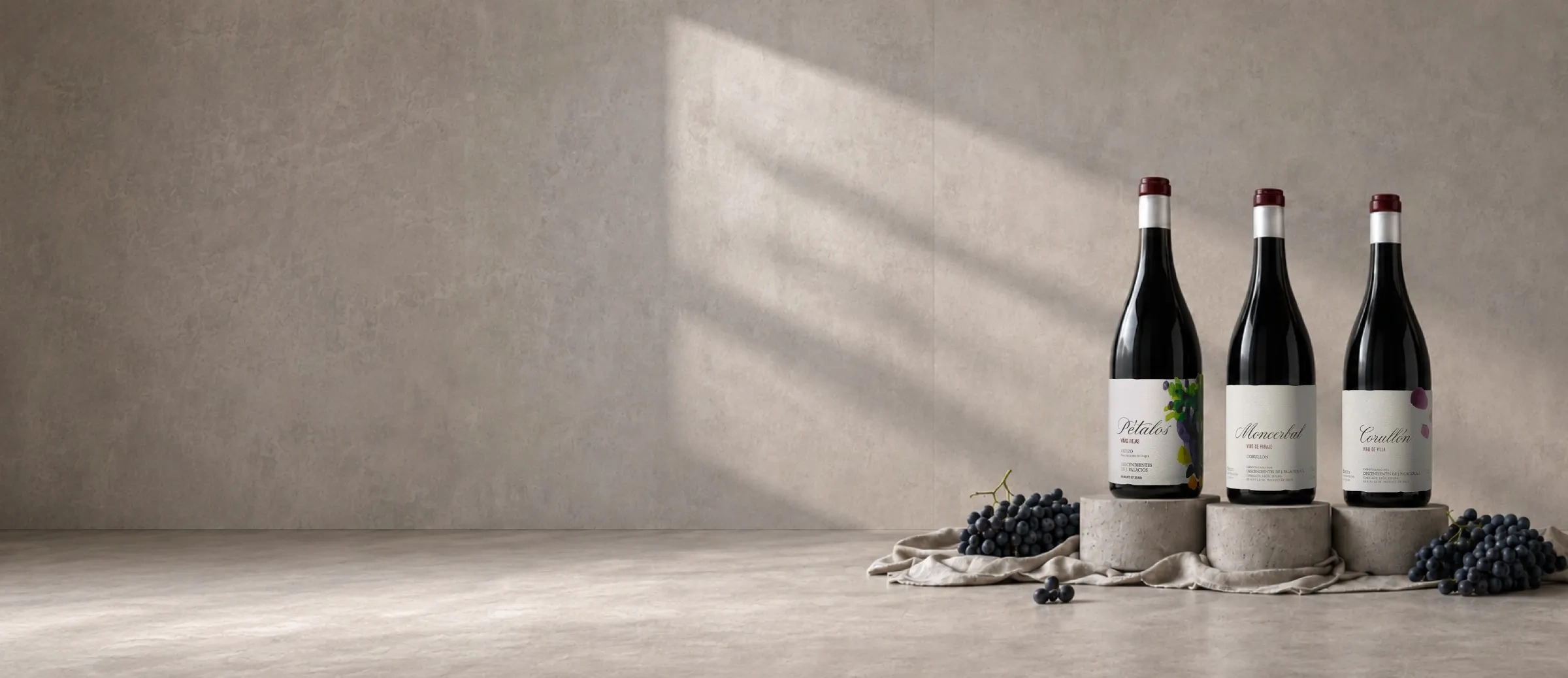 Bouteilles de vin du domaine Descendientes J. Palacios