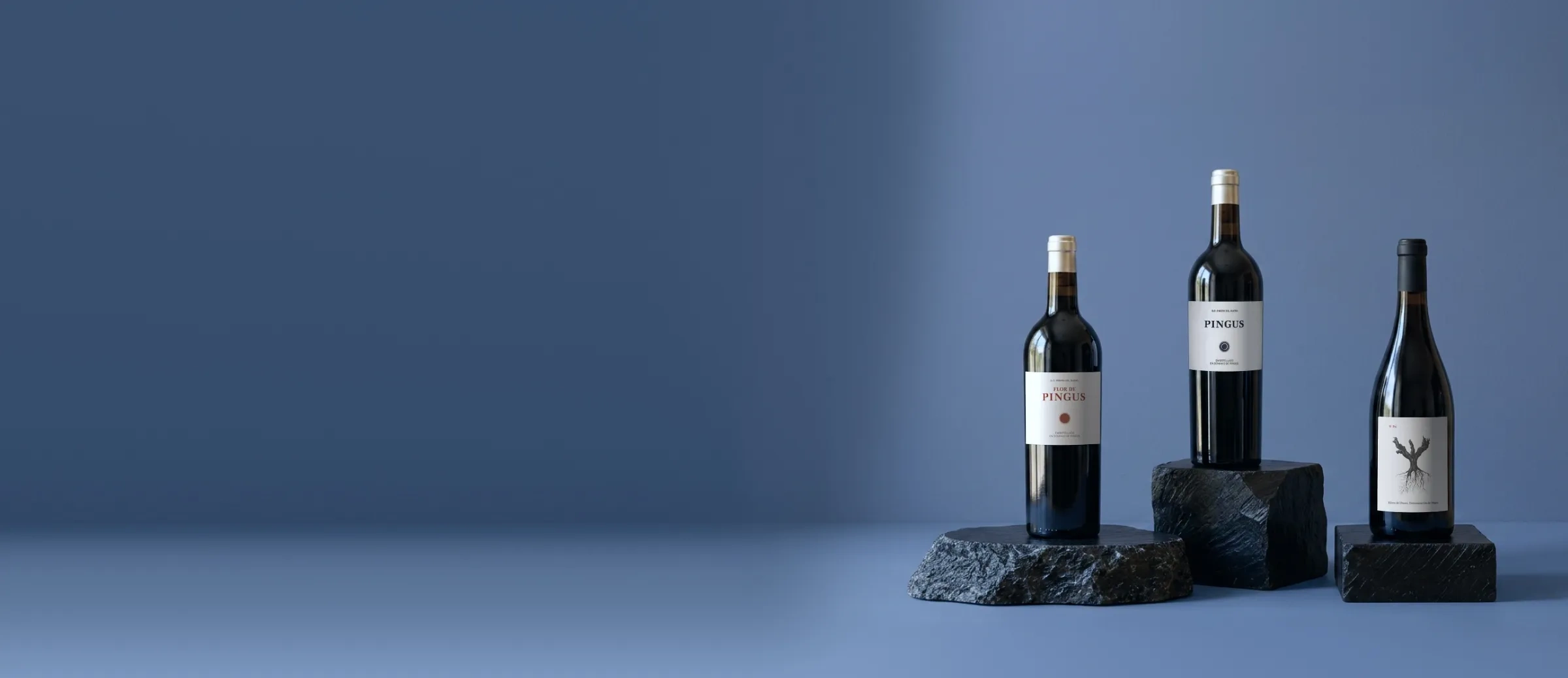 Bouteilles de vin du domaine Dominio de Pingus