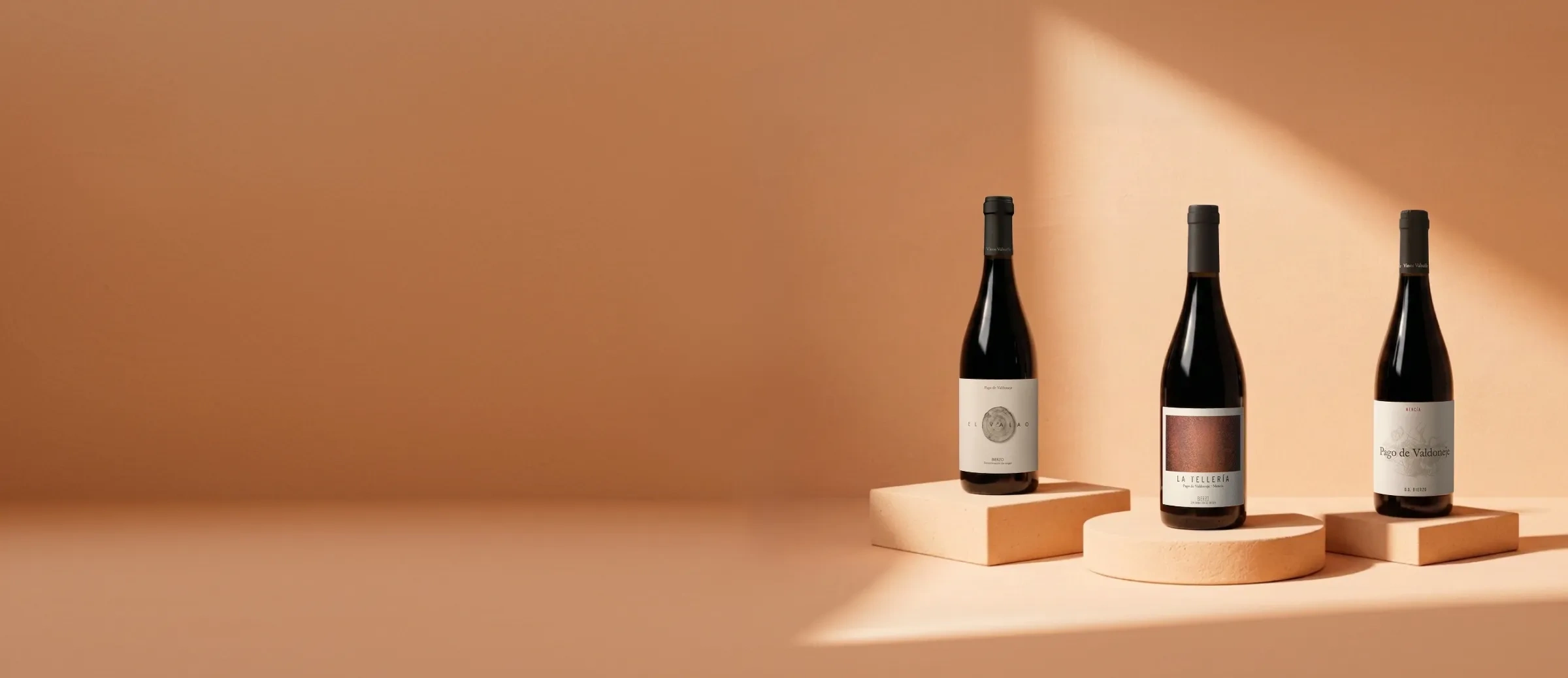 Bouteilles de vin du domaine Valtuille