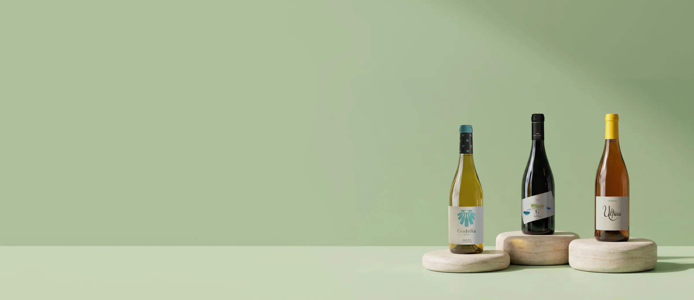 Bouteilles de vin godello avec -10 %