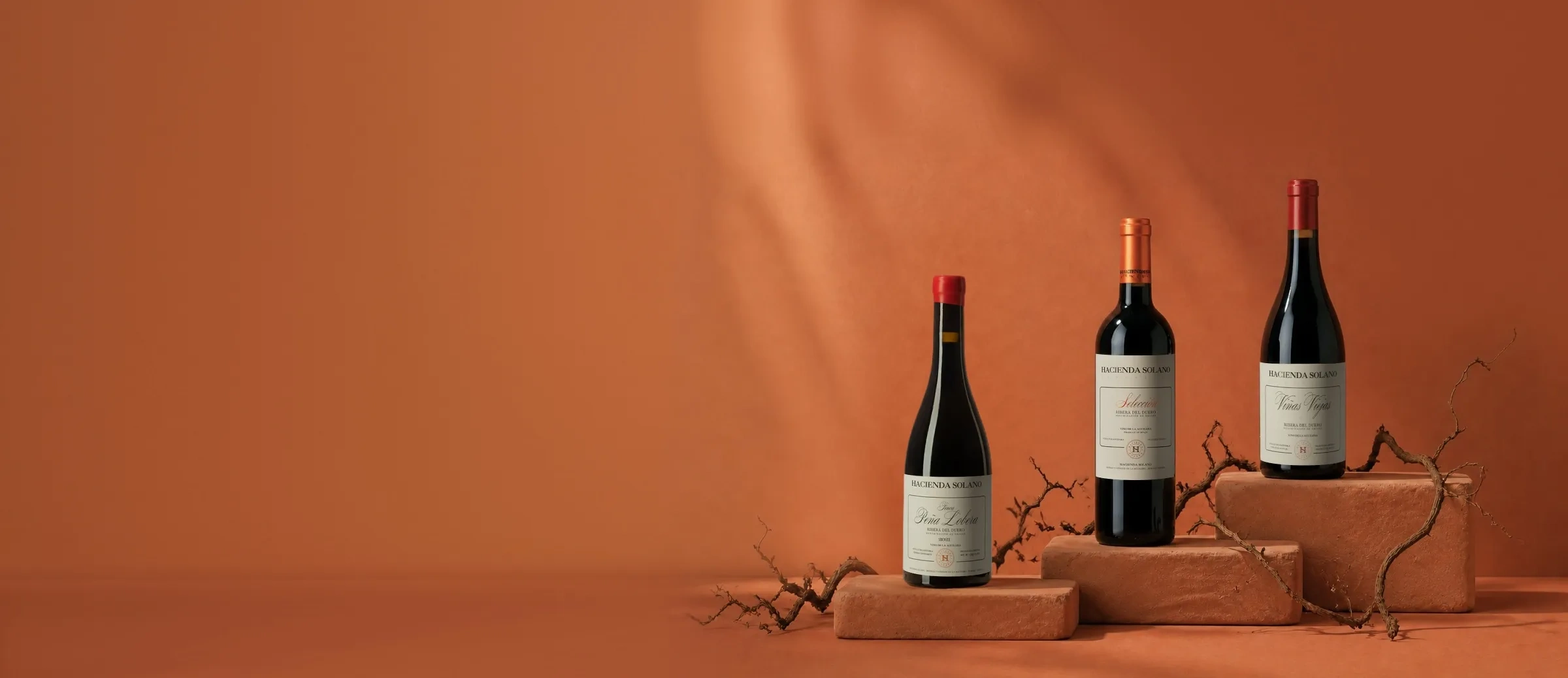 Bouteilles de vin du domaine Hacienda Solano