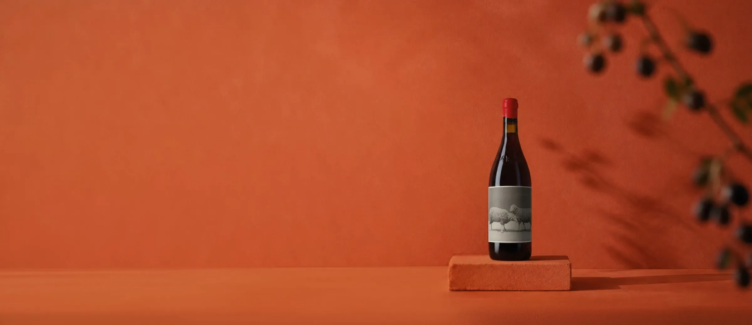 Bouteille de vin 4 Kilos 2023