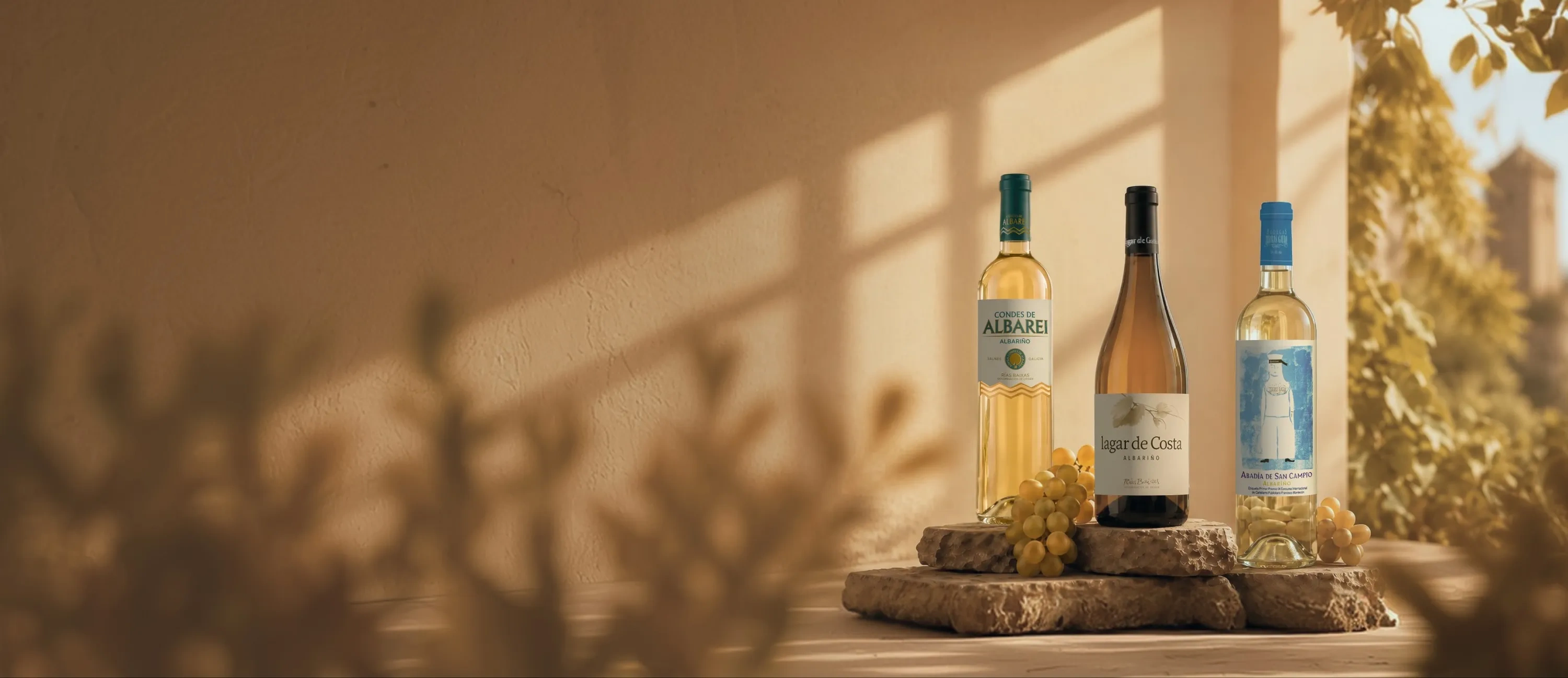 Trois bouteilles de vin d'Albariño lauréates de la XVe édition du Túnel del Vino Profesional
