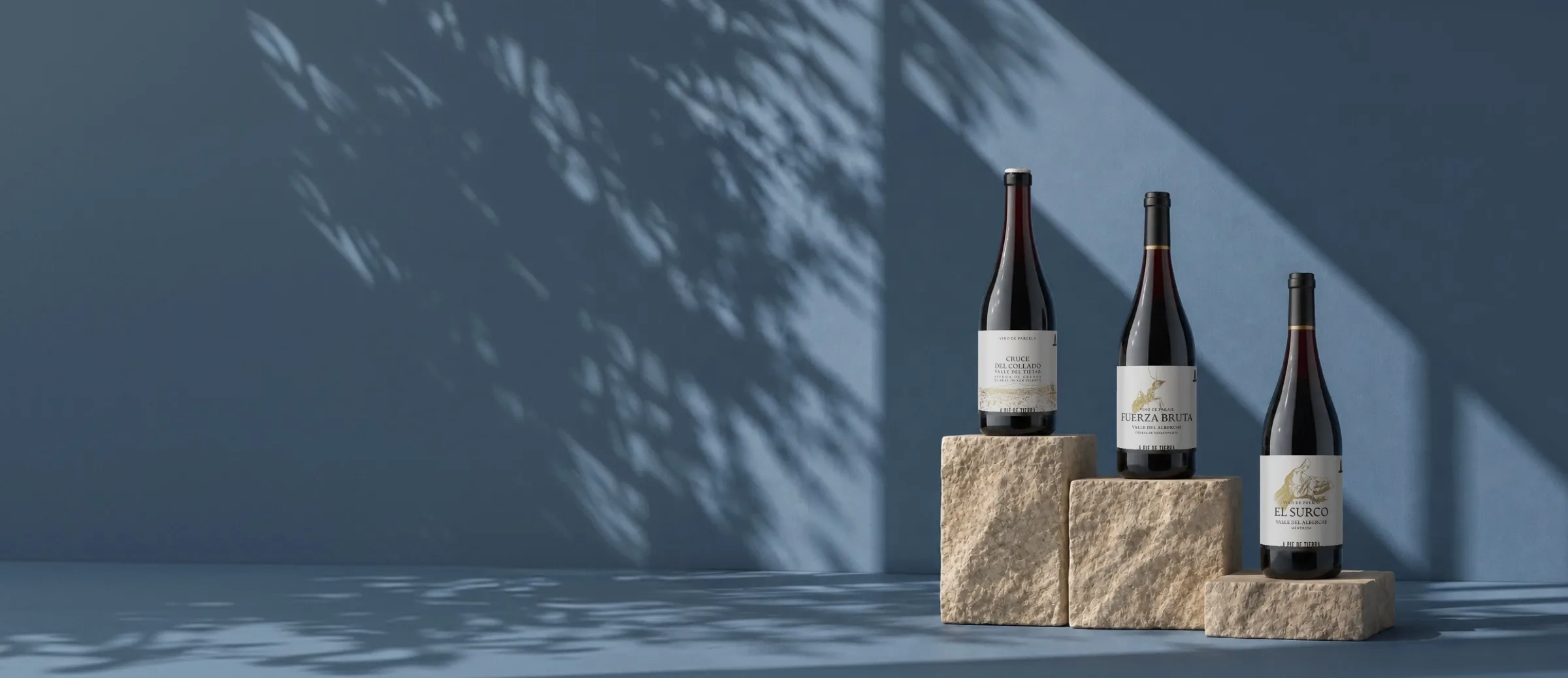Bouteilles de vin du domaine A Pie de Tierra