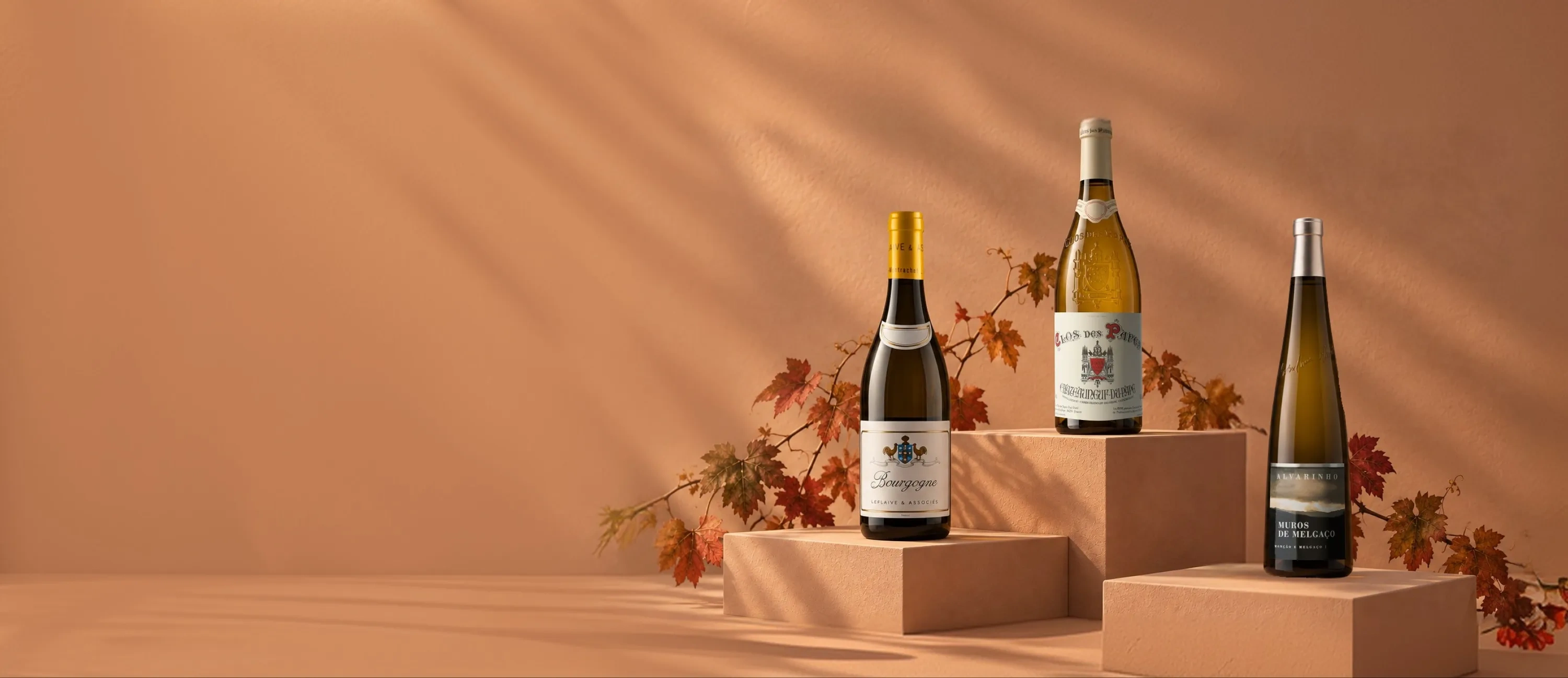 Bouteilles de vin blanc pour l'automne