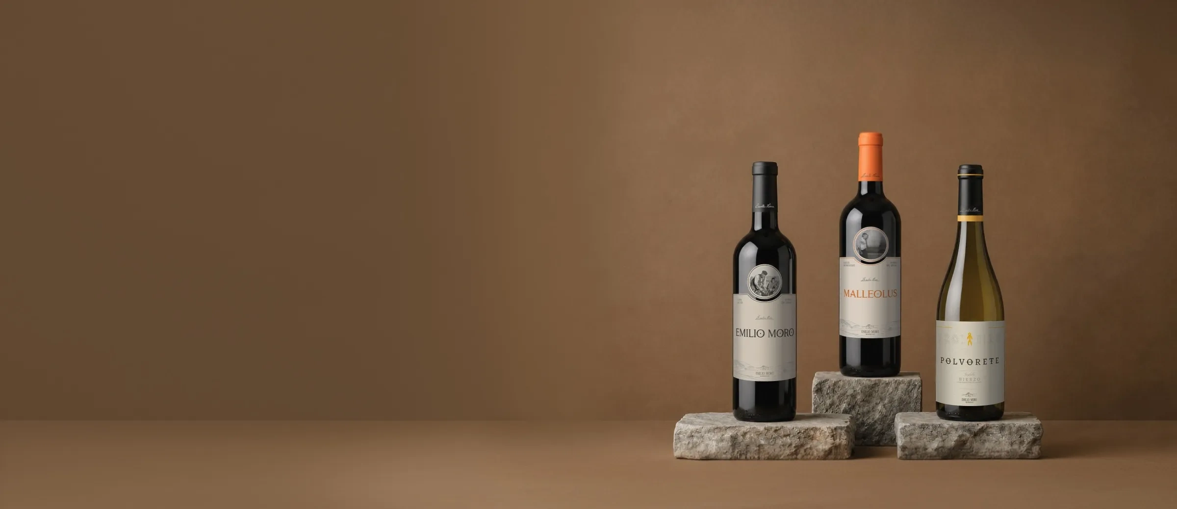 Bouteilles de vin du domaine Emilio Moro