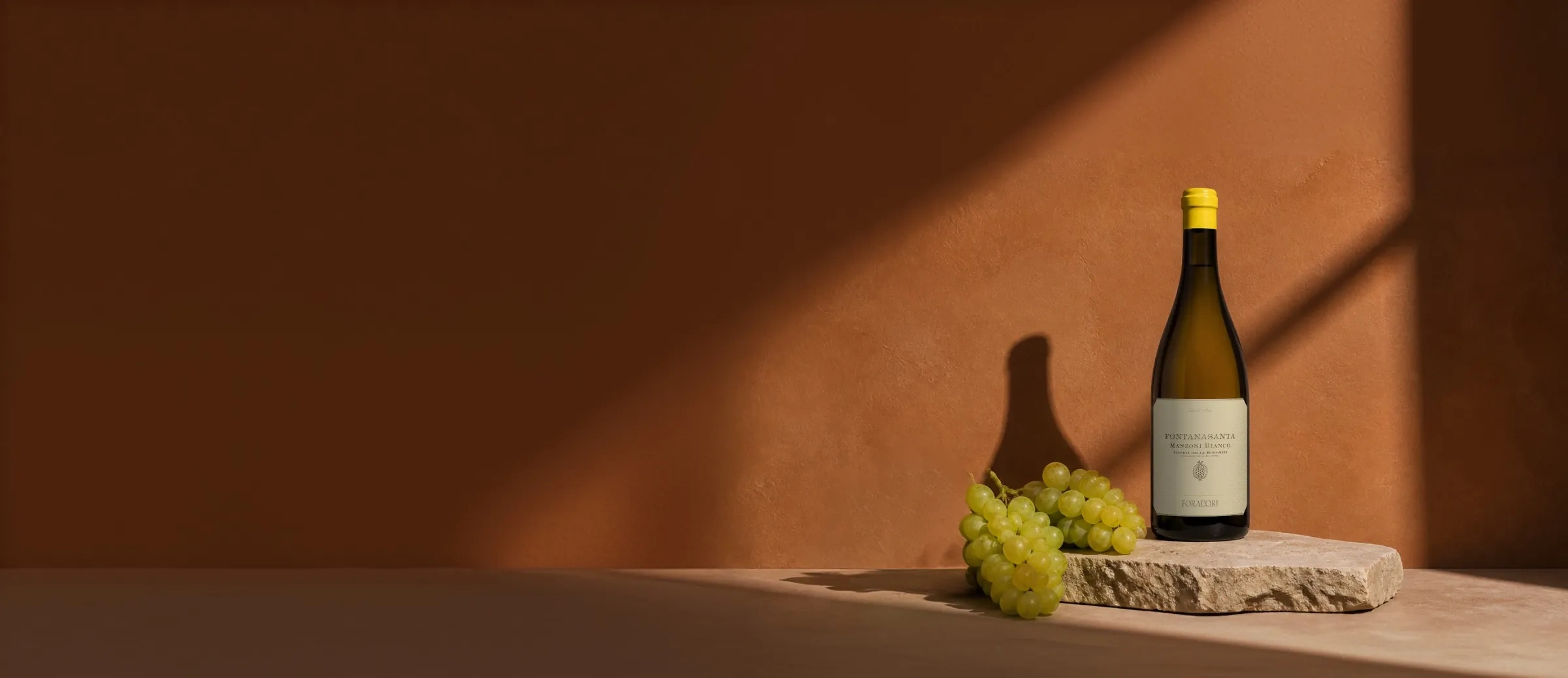 Bouteille de vin Fontanasanta Manzoni Bianco 2025