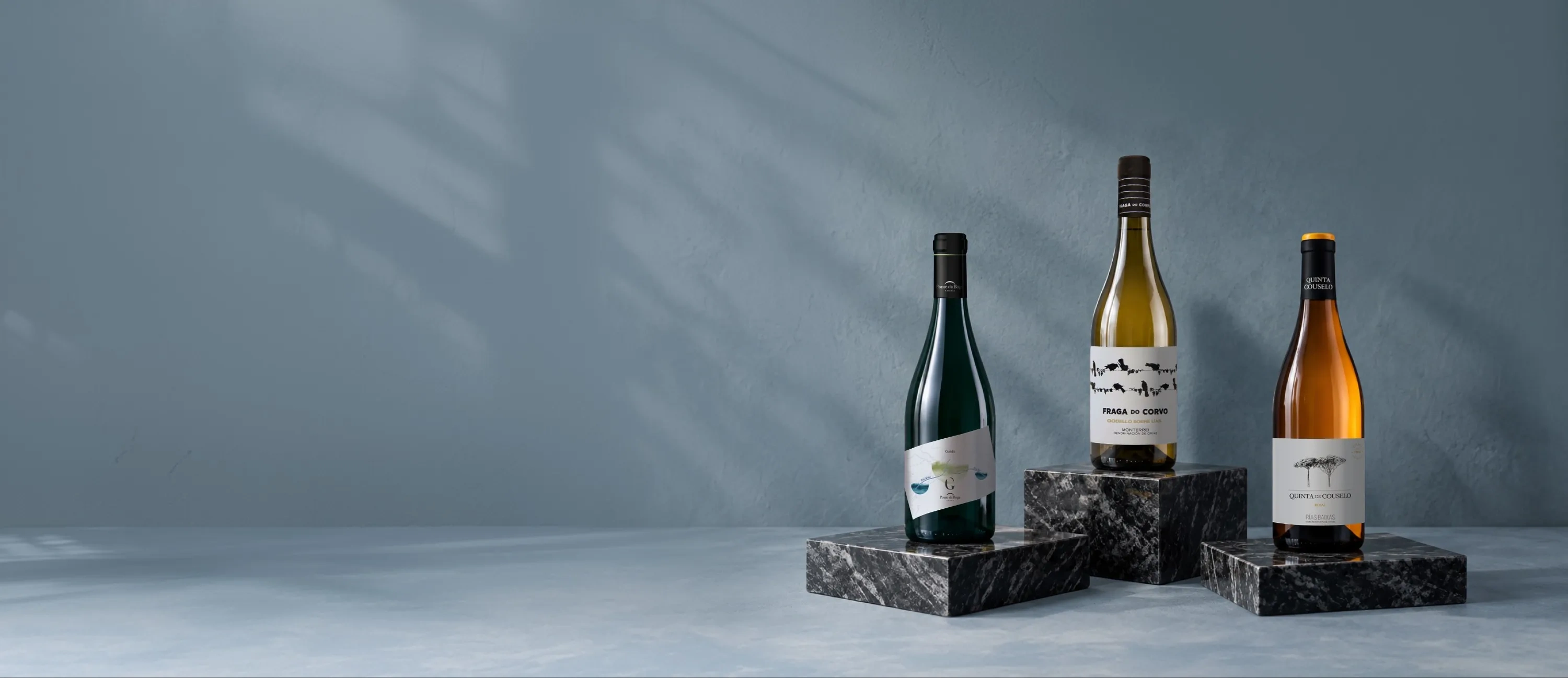 Bouteilles de vin Grandes Pagos Gallegos