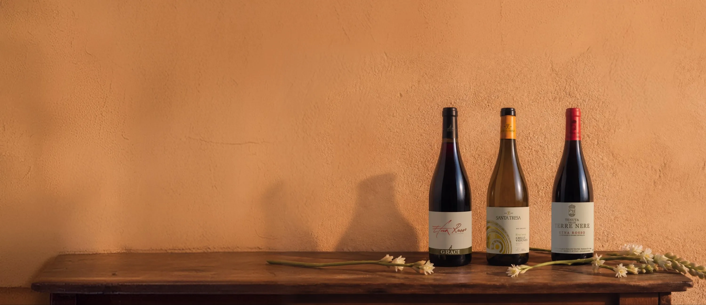 Bouteilles de vin de Sicile en promotion