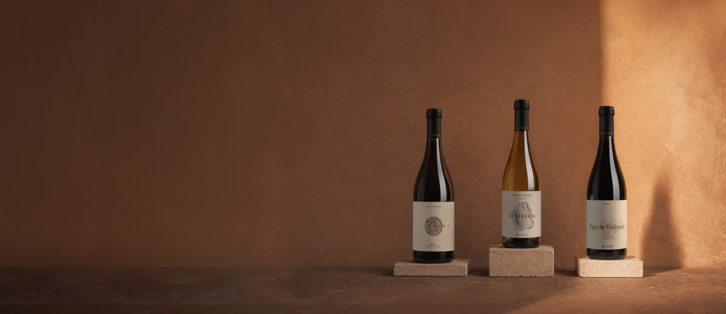 Bouteilles de vin du domaine Vinos Valtuille