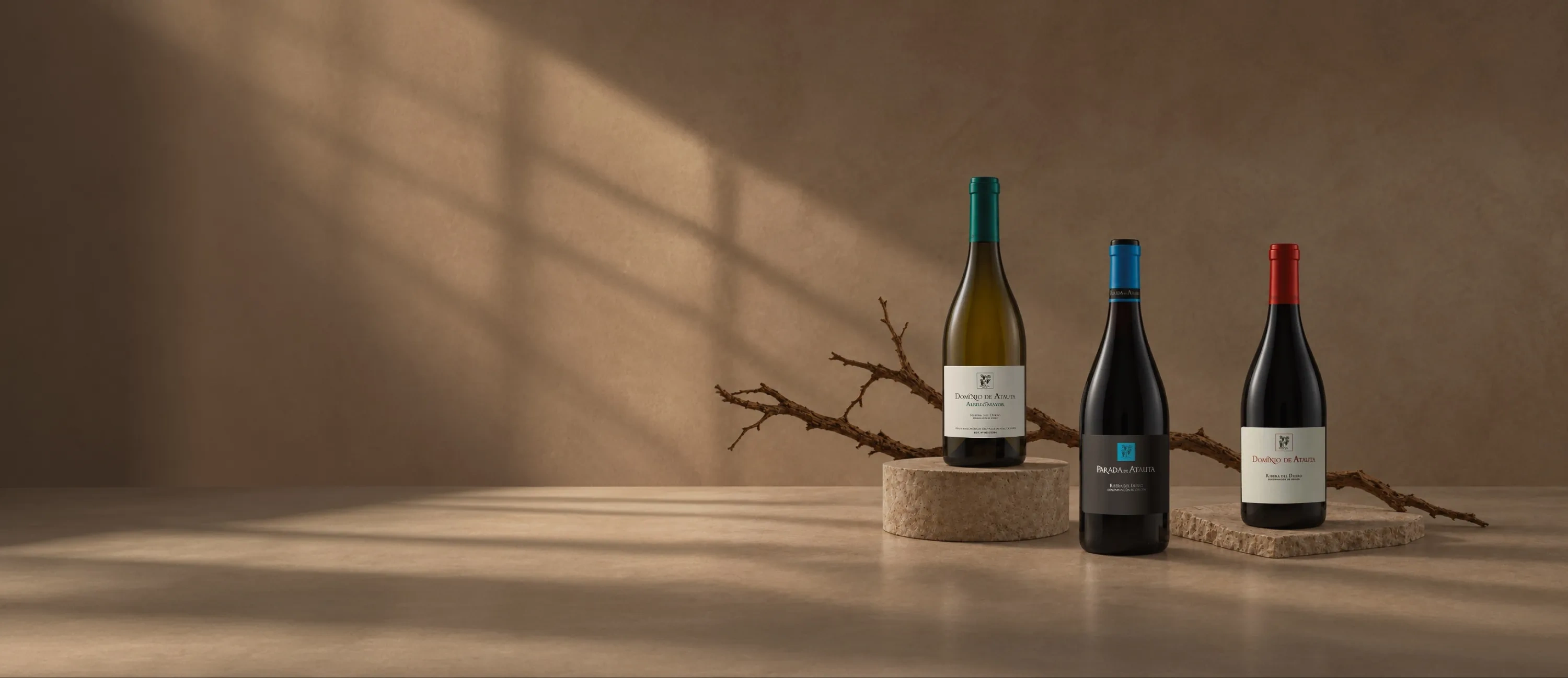 Bouteilles de vin du domaine Dominio de Atauta