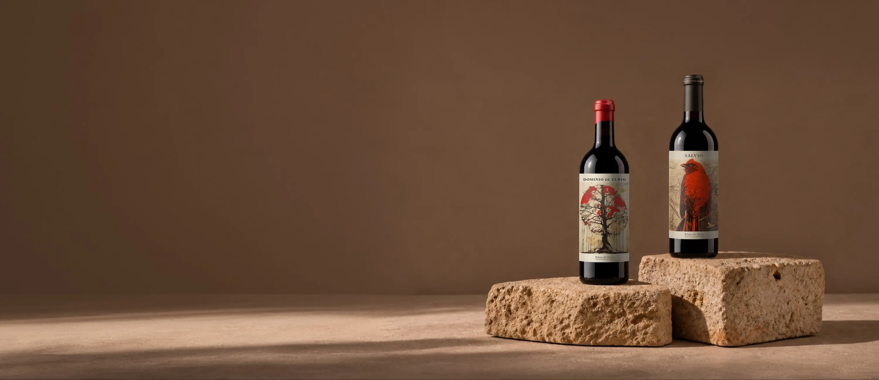 Bouteilles de vin du domaine Dominio de Elbio