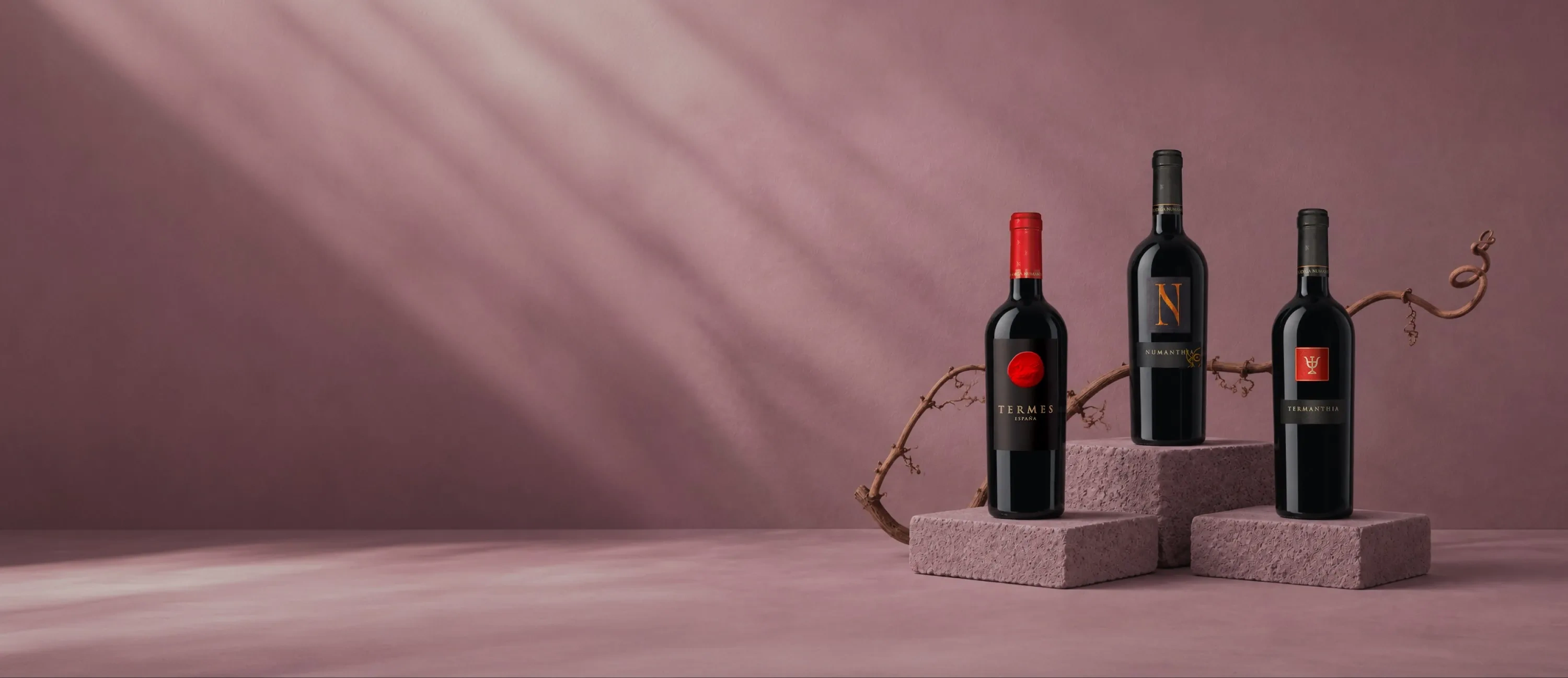 Bouteilles de vin du domaine Numanthia
