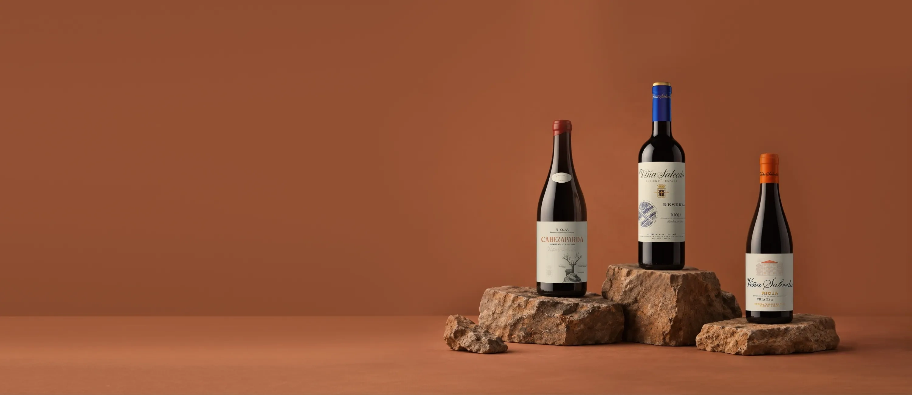 Bouteilles de vin du domaine Viña Salceda