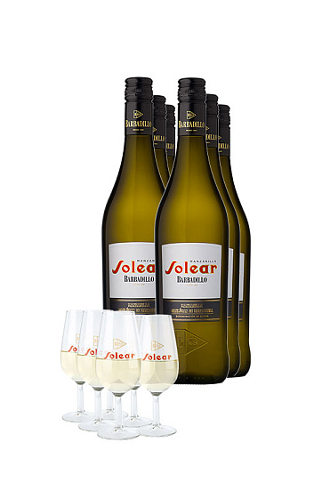 Pack Manzanilla Solear x6 + 6 Catavinos de regalo