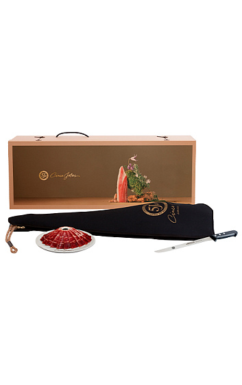 Jamón 100% IbéricoPlato Volcán, Cuchillo Arcos y Estuche