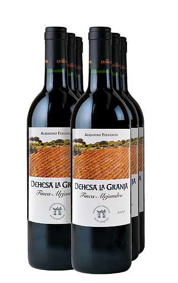 Finca Alejandro 2008 (x6)