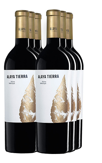 Pack La Atalaya del Camino