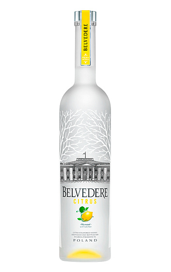 Belvedere Vodka Citrus