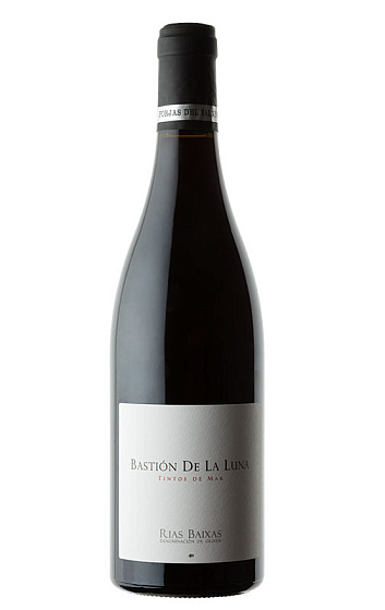 Bastión de la Luna 2014