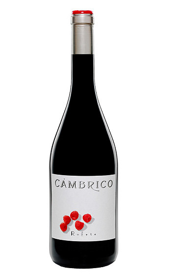 Cámbrico Rufete 2011