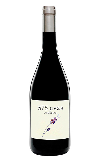 575 uvas 2017