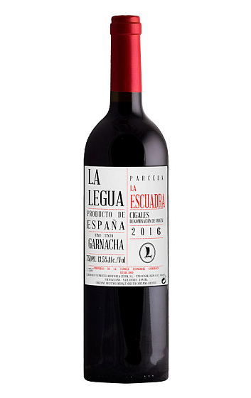 La Legua Parcela La Escuadra 2016