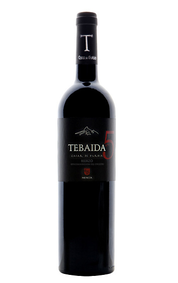 Tebaida Nº5 2015