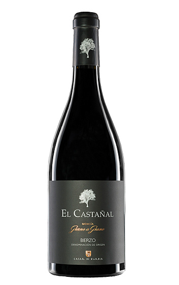 El Castañal 2019