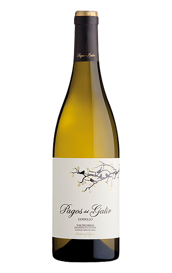 Pagos de Galir Godello 2020
