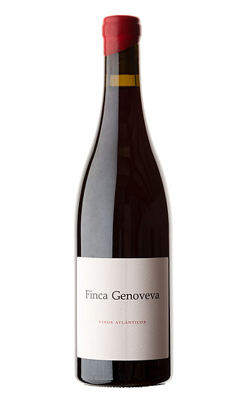 Finca Genoveva Caíño 2019