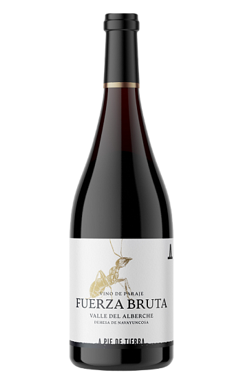 Produit: Fuerza Bruta 2024