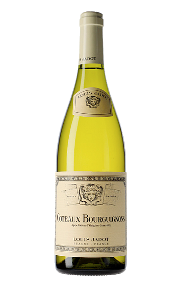 Produit: Louis Jadot Coteaux Bourguignons Blanc 2024