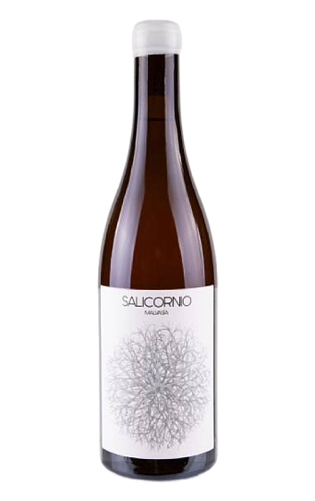 Produit: Salicornio Malvasía 2024