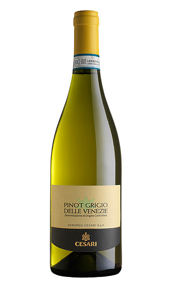 Produit: Cesari Pinot Grigio Delle Venezie 2025