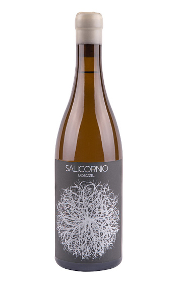 Produit: Casa Balaguer Salicornio Moscatel 2025