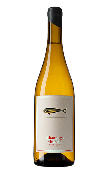Produit: 4 Kilos Llampuga Vinícola 2025