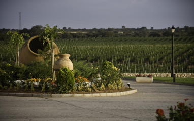 Detalle de entrada a la finca con viñedos al fondo