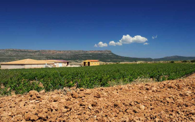 Panorámica de la bodega con los suelos calizos en primer término