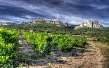 Viña Gembres