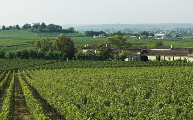 Château Angélus