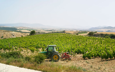 Trabajo en el campo