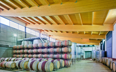 Barricas apiladas en la bodega