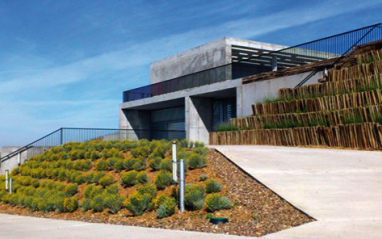 Bodega Montepedroso