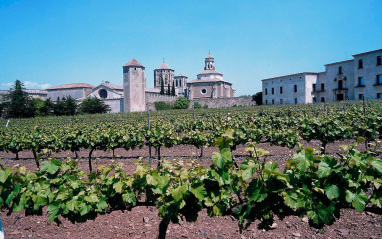 Expertos en la elaboración de Pinot noir.