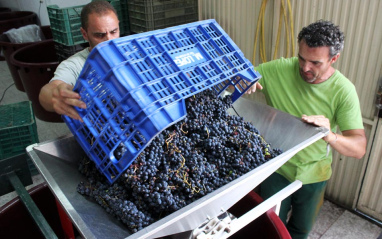 Recepción en bodega