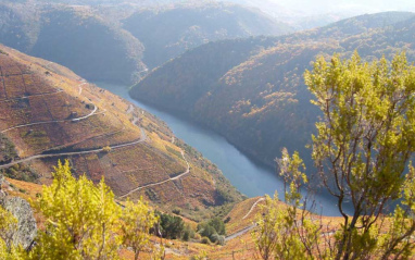 El entorno de la Ribeira Sacra