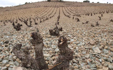 Suelos de pizarra blanca