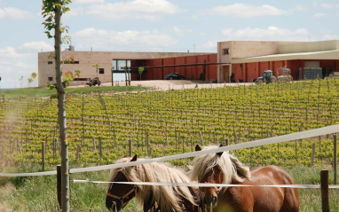 Ganado de la bodega